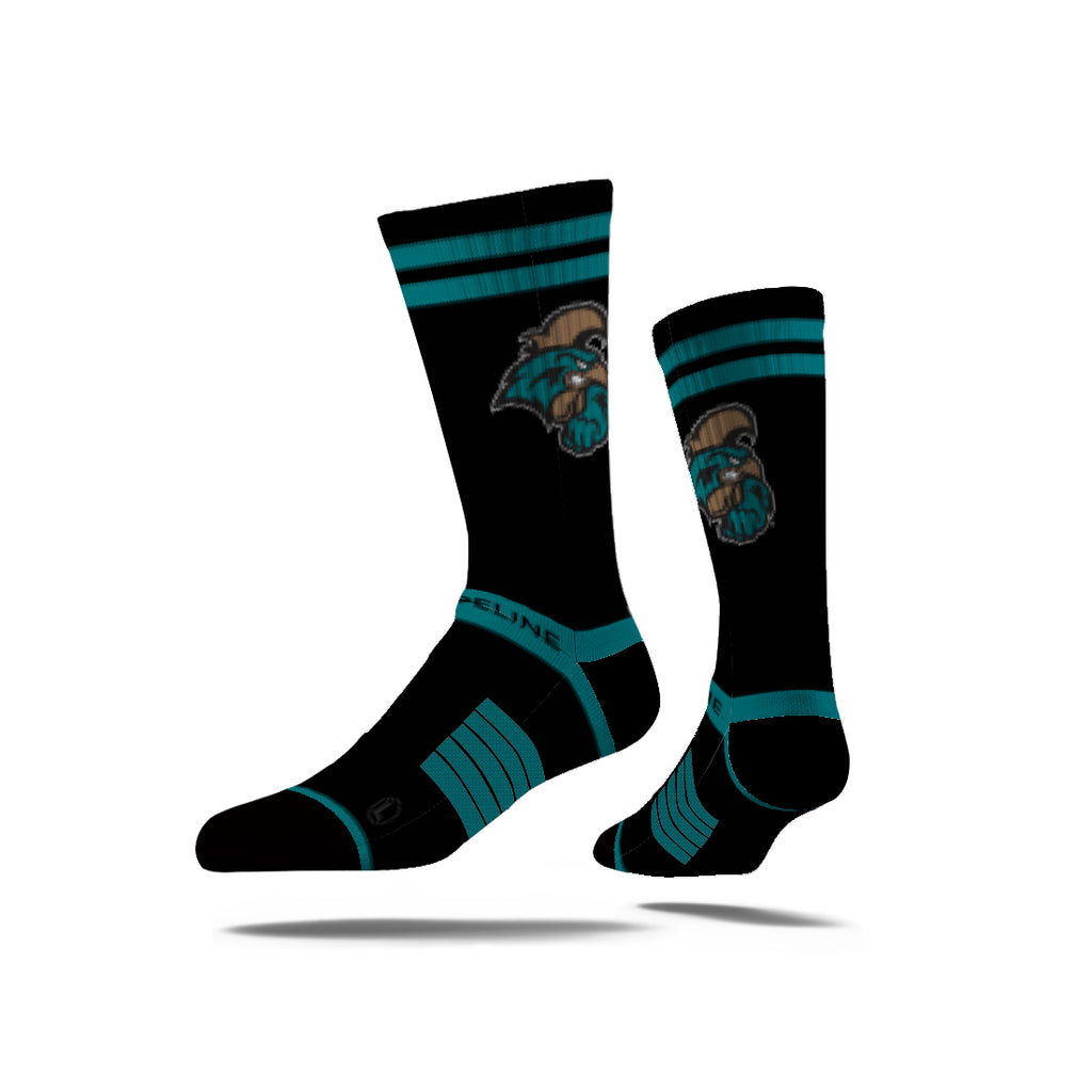 Coastal Carolina University | Premium Knit Crew | Fan Logo | N02435462ML