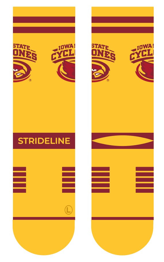 Iowa State University | Premium Knit Crew | Fan Logo | N02440519ML