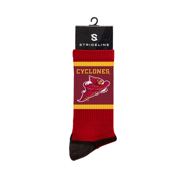 Iowa State University | Premium Crew | Fashion Logo | N02428663ML