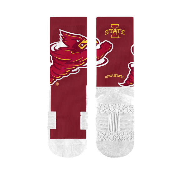 Iowa State University | Premium Full Sub | Mascot | N02108634ML