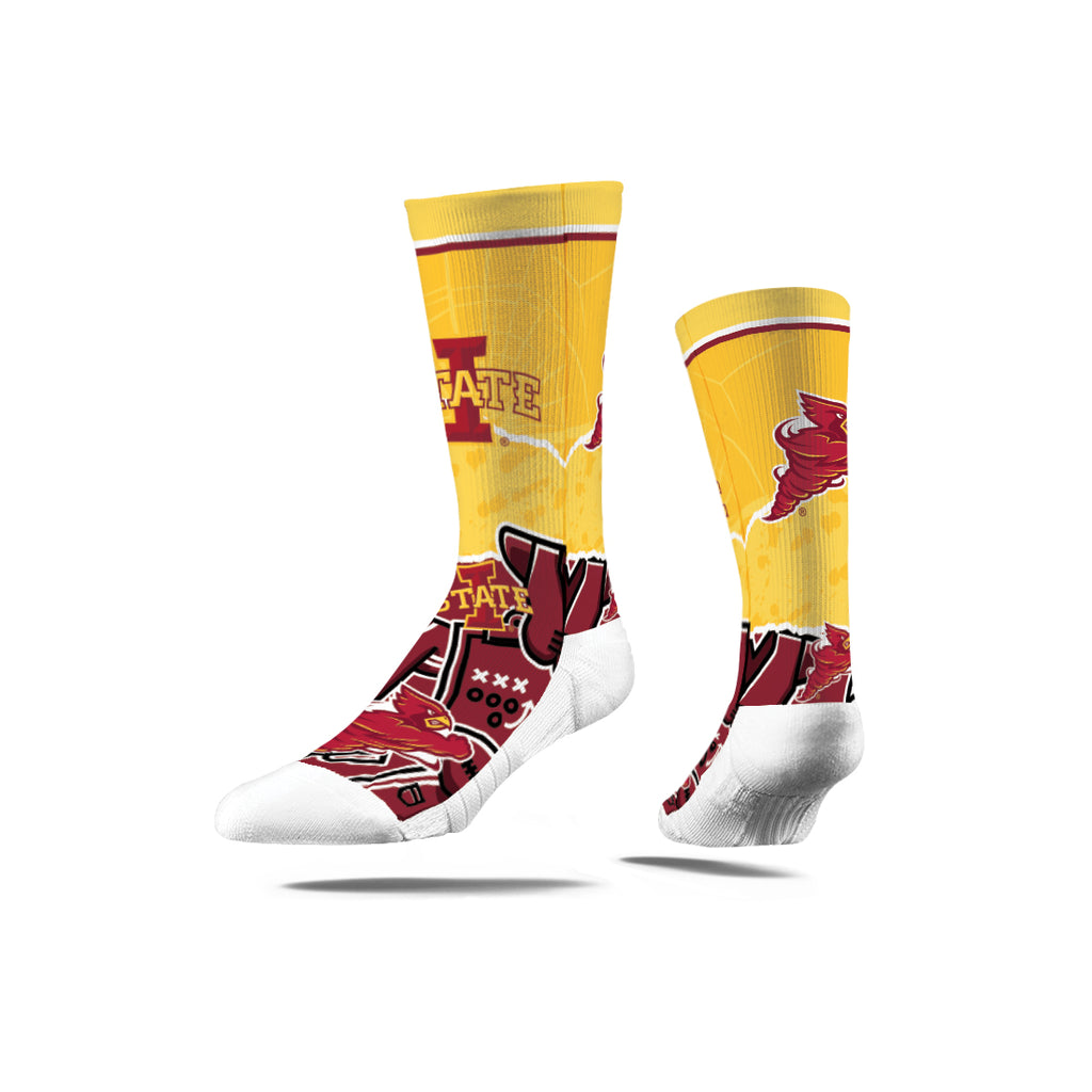 Iowa State University | Premium Full Sub | Tear Out | N02381712ML