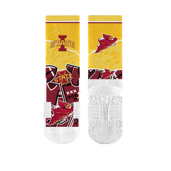 Iowa State University | Premium Full Sub | Tear Out | N02381712ML