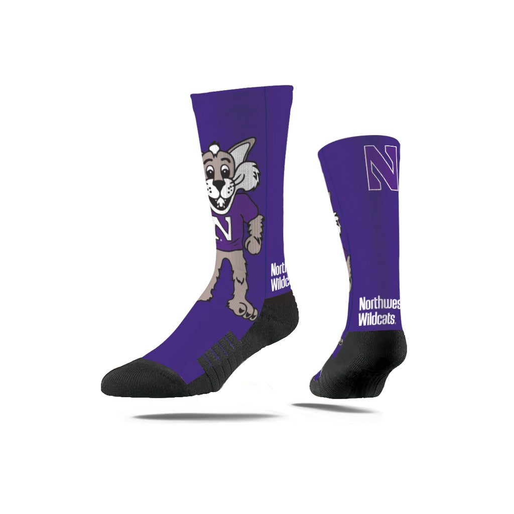 Northwestern University | Premium Full Sub | Mascot | N02338364ML