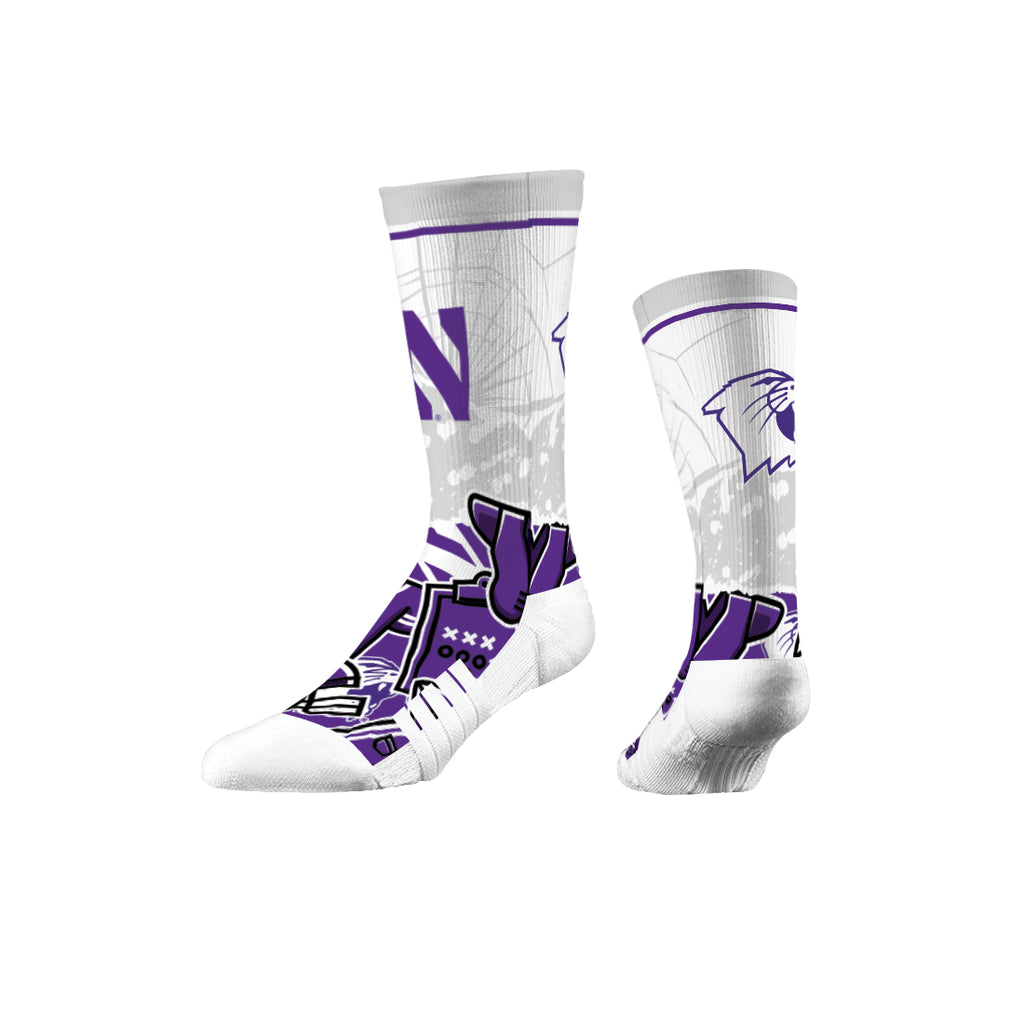 Northwestern University | Premium Full Sub | Tear Out | N02381964ML