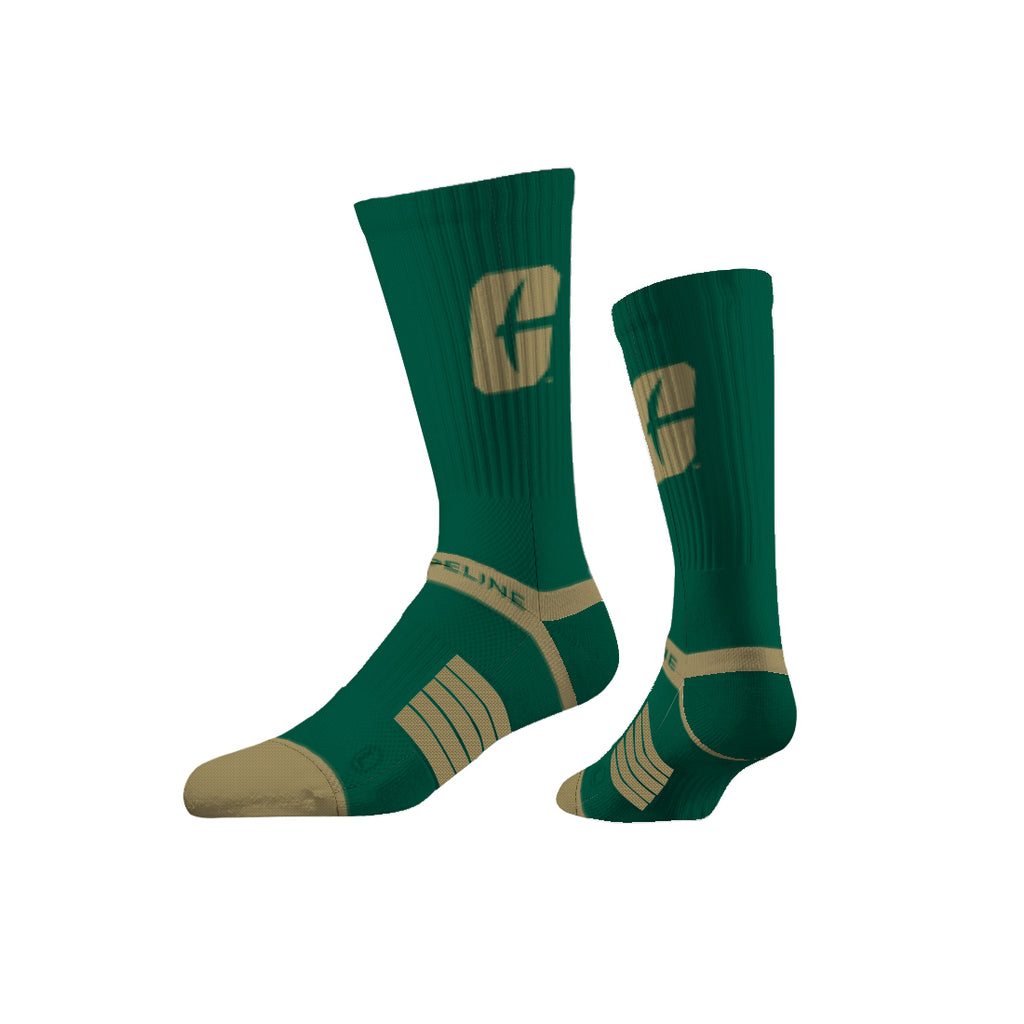 The University of North Carolina at Charlotte | Premium Knit Crew | Primary Logo School Color | N02455606ML