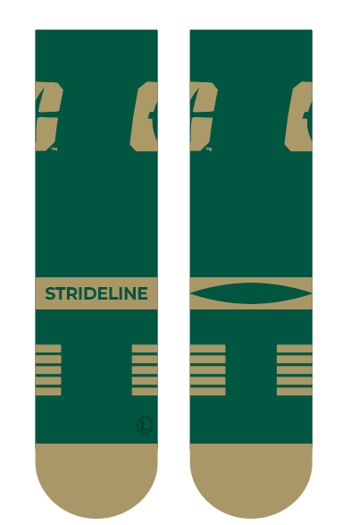 The University of North Carolina at Charlotte | Premium Knit Crew | Primary Logo School Color | N02455606ML