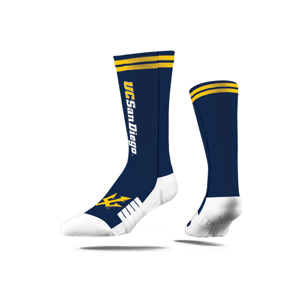 University of California, San Diego | Premium Full Sub | Script | N02427041ML