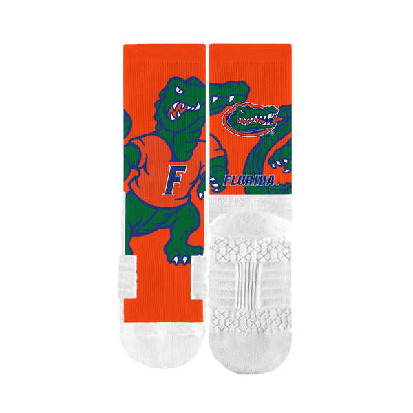 University of Florida | Premium Full Sub | Mascot | N02096663ML