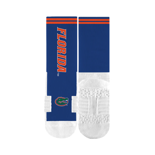 University of Florida | Premium Full Sub | Script | N02417495ML