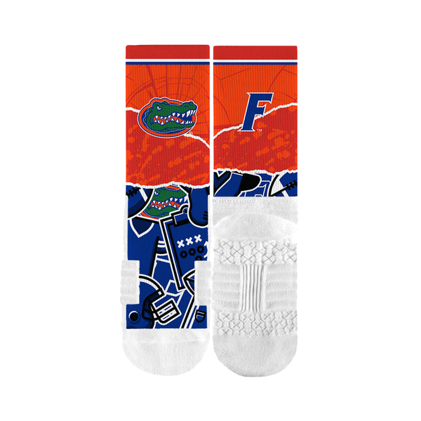 University of Florida | Premium Full Sub | Tear Out | N02383846ML