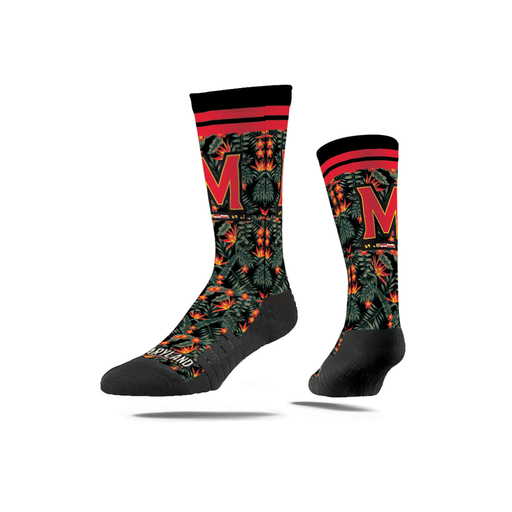 University of Maryland | Premium Full Sub | Fan Flora | N02365499ML