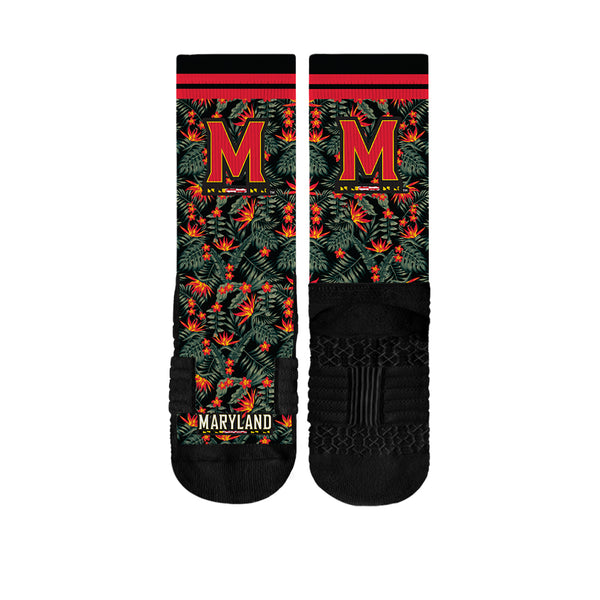 University of Maryland | Premium Full Sub | Fan Flora | N02365499ML