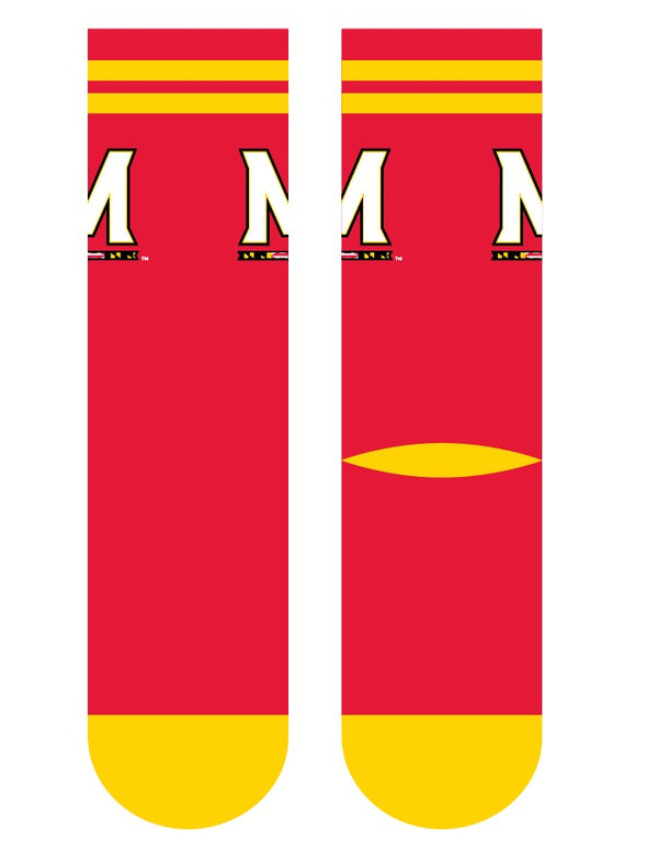 University of Maryland | Economy Knit Crew | Primary Logo School Color | N02584197ML