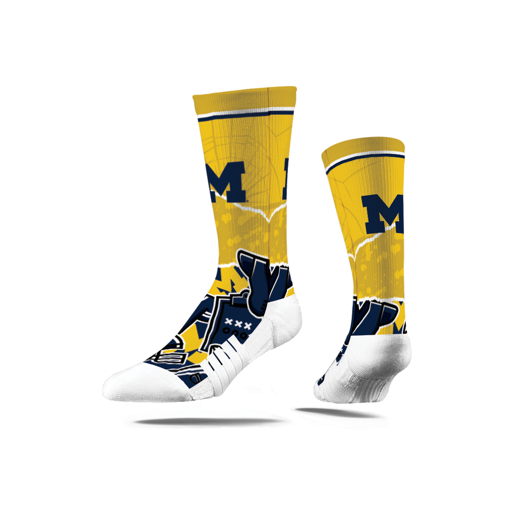 University of Michigan | Premium Full Sub | Tear Out | N02380247ML
