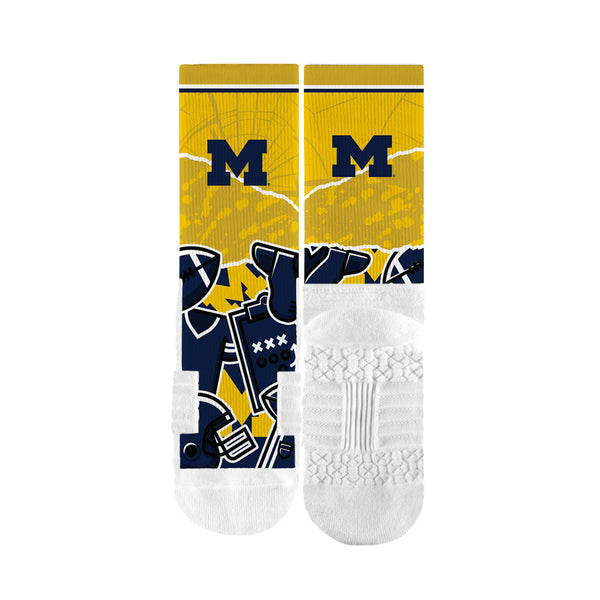 University of Michigan | Premium Full Sub | Tear Out | N02380247ML