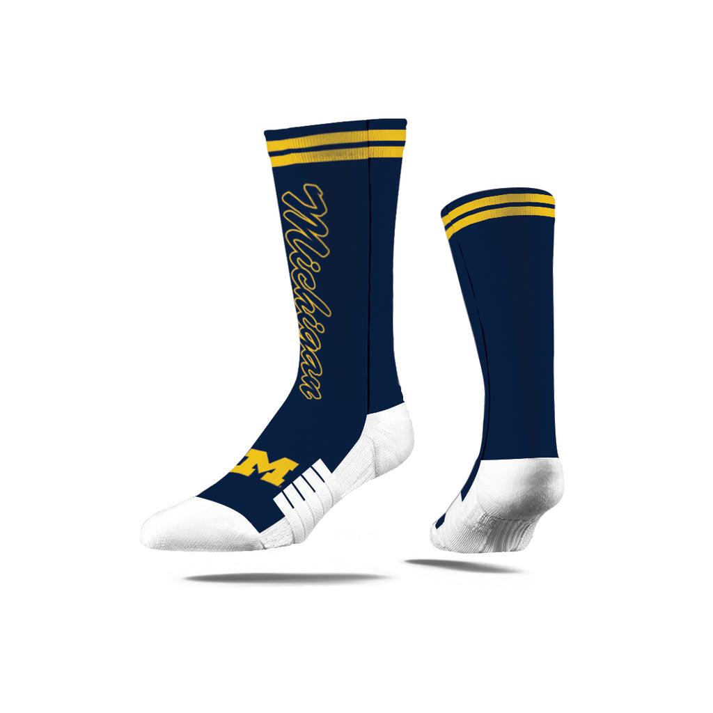 University of Michigan | Premium Full Sub | Script | N02417519ML