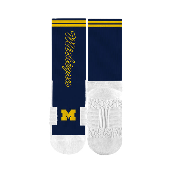 University of Michigan | Premium Full Sub | Script | N02417519ML