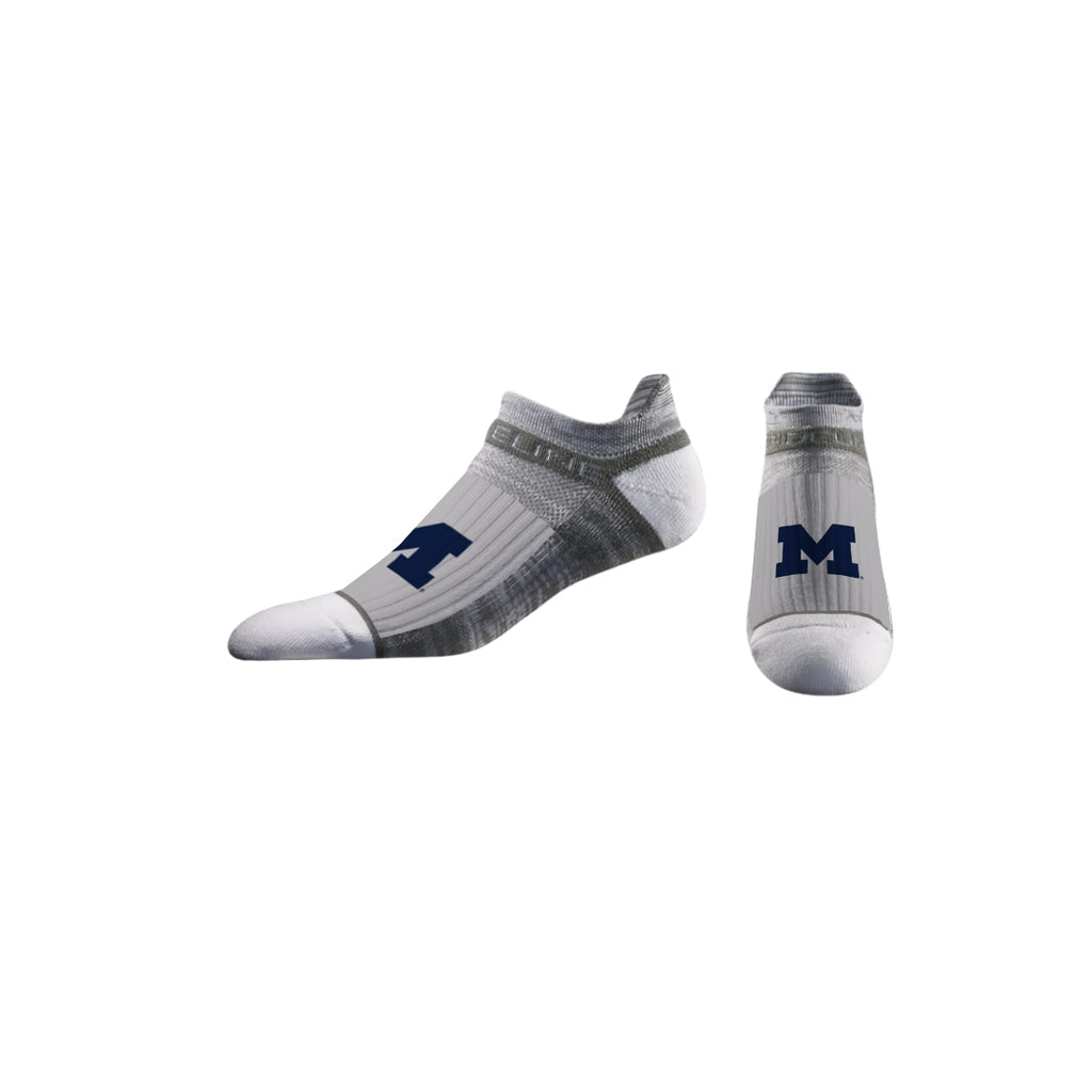 University of Michigan | Premium Low | Primary Logo School Color | Grey | N02594928ML