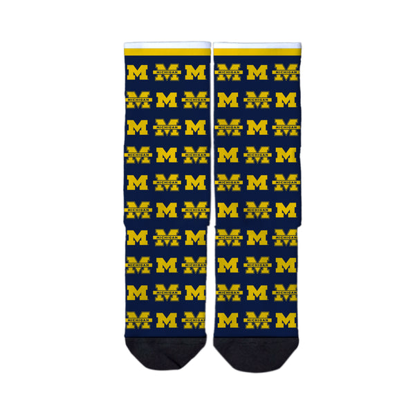 University of Michigan | Economy Full Sub | Step and Repeat | N01606965ML