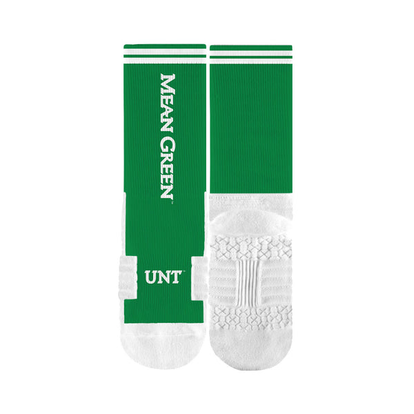 University of North Texas | Premium Full Sub | Script | N02526956ML