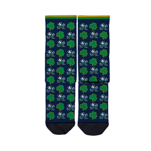 University of Notre Dame | Economy Full Sub | Step and Repeat | N02243690ML