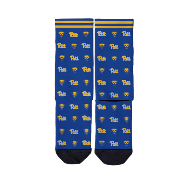 University of Pittsburgh | Economy Full Sub | Step and Repeat | N02593216ML