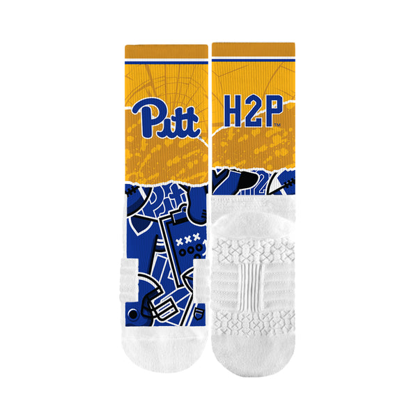 University of Pittsburgh | Premium Full Sub | Tear Out | N02383254ML
