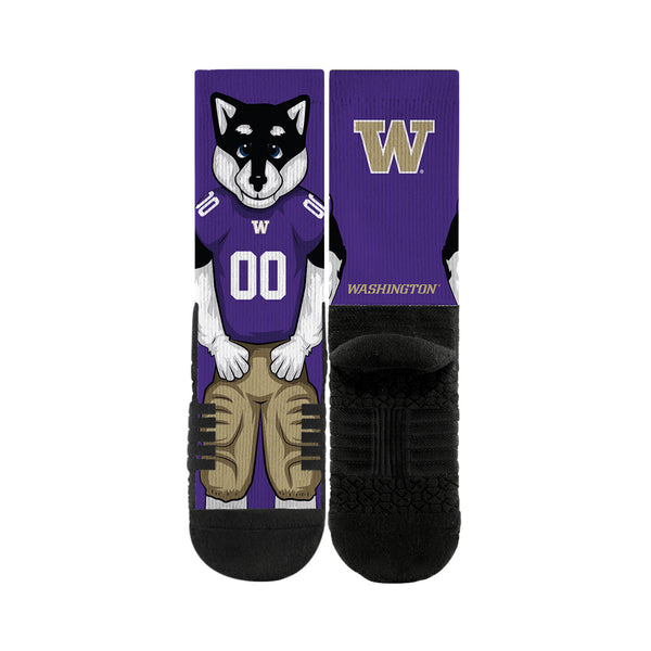 University of Washington | Premium Full Sub | Mascot | N02073150ML