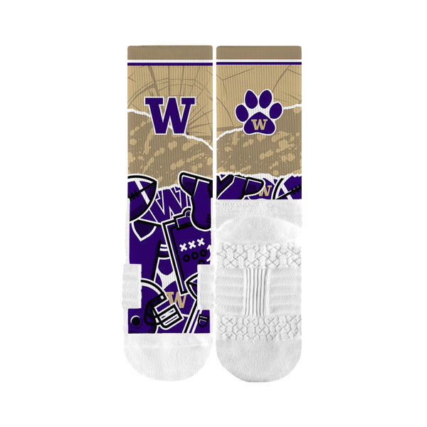 University of Washington | Premium Full Sub | Tear Out | N02380259ML