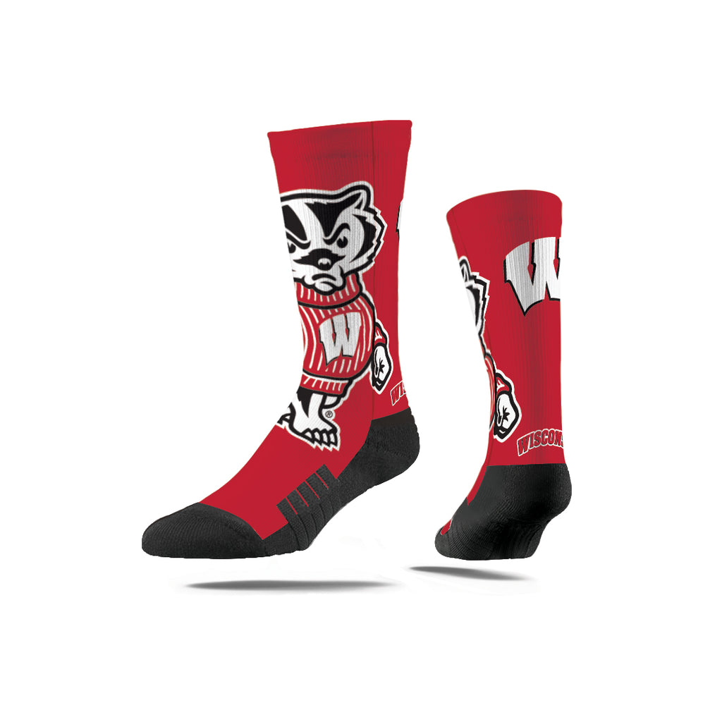 University of Wisconsin | Premium Full Sub | Mascot | N02110627ML