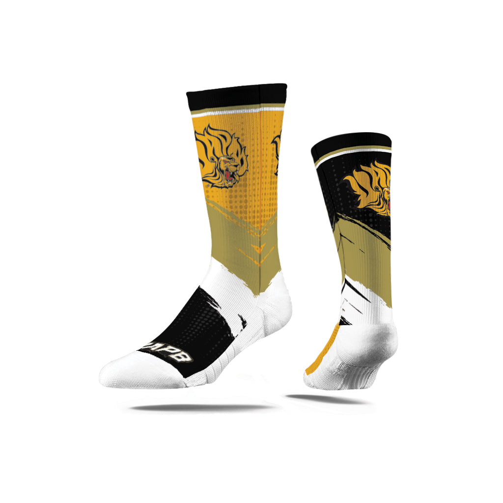 University of Arkansas at Pine Bluff | Premium Full Sub | Mix Match | N02675241ML