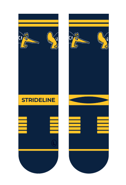 University of California, Irvine | Premium Knit Crew | Fan Logo | N02456380ML