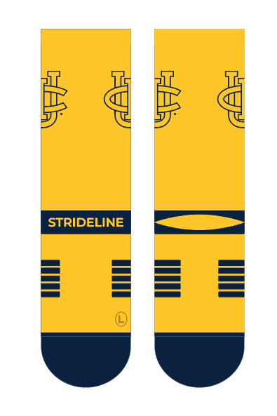 University of California, Irvine | Premium Knit Crew | Primary Logo School Color | N02456376ML