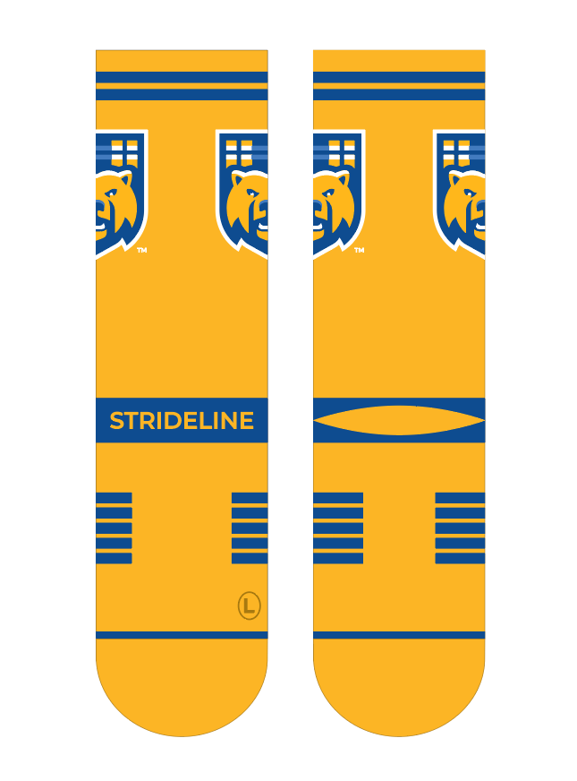 University of California, Riverside | Premium Knit Crew | Fan Logo | N ...