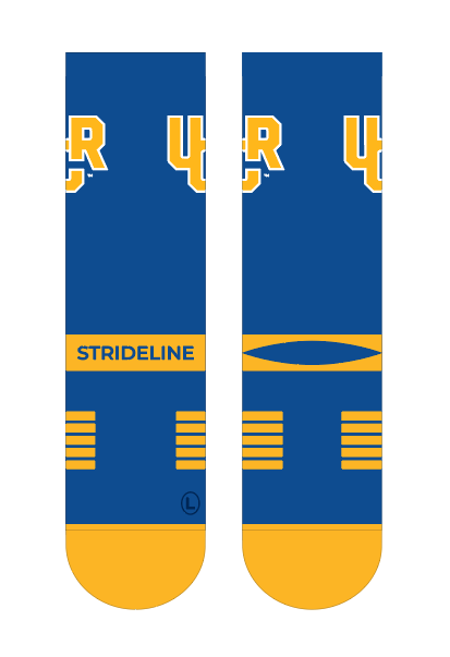 University of California, Riverside | Premium Knit Crew | Primary Logo School Color | N02456737ML