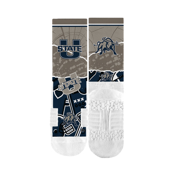 Utah State University | Premium Full Sub | Tear Out | N02382204ML