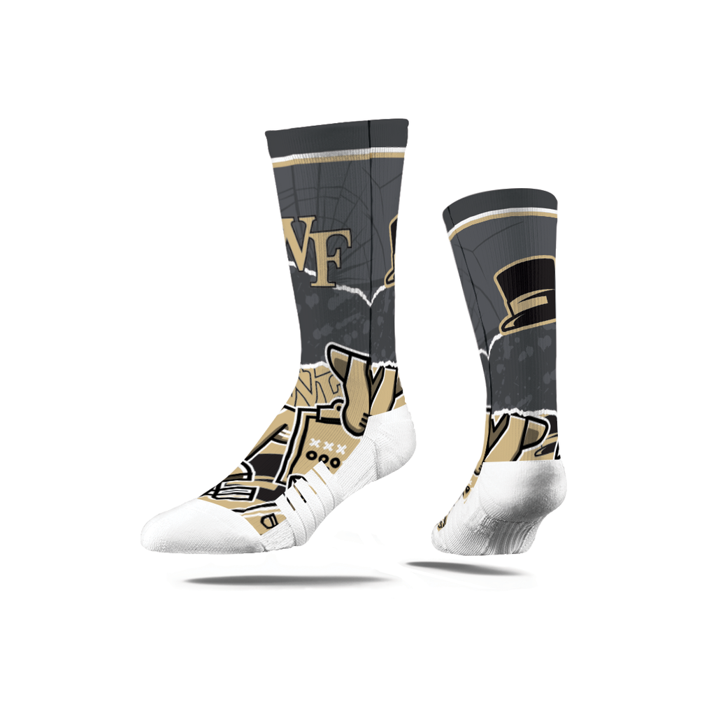 Wake Forest University | Premium Full Sub | Tear Out | N02380267ML