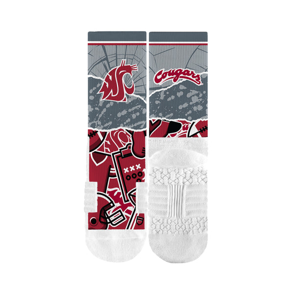 Washington State University | Premium Full Sub | Tear Out | N02382216ML