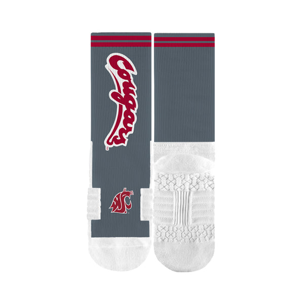 Washington State University | Premium Full Sub | Script | N02417907ML
