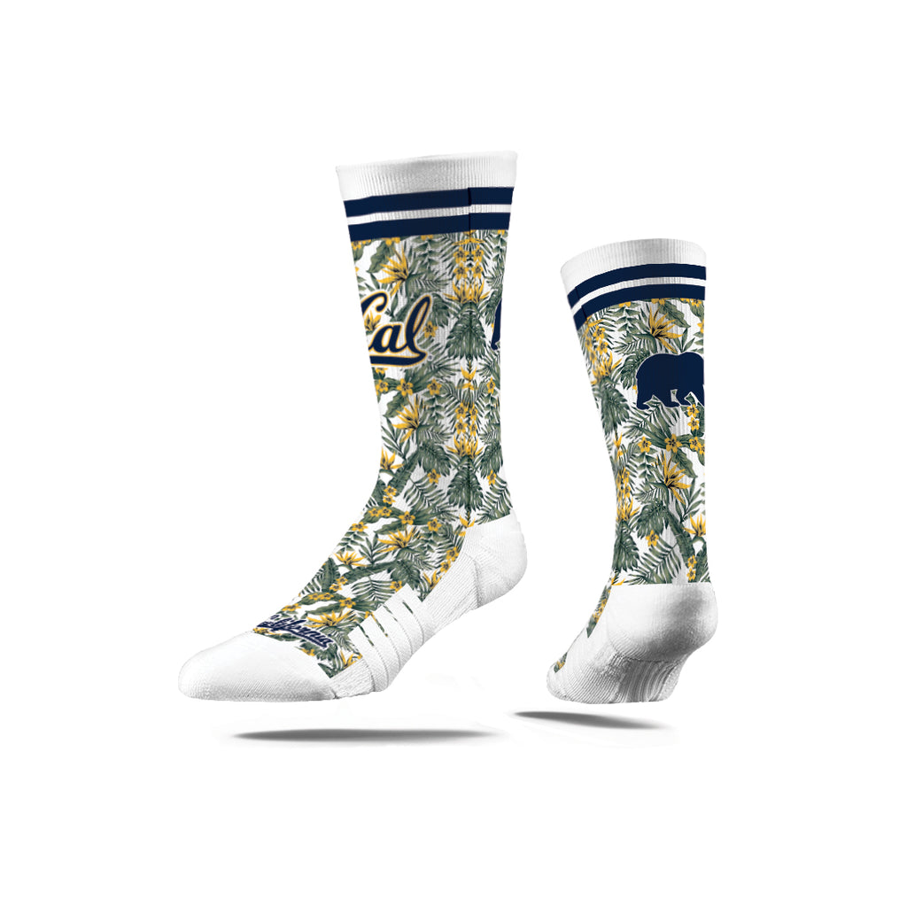 Cal Berkeley | Premium Full Sub | Fan Flora | N02364492ML