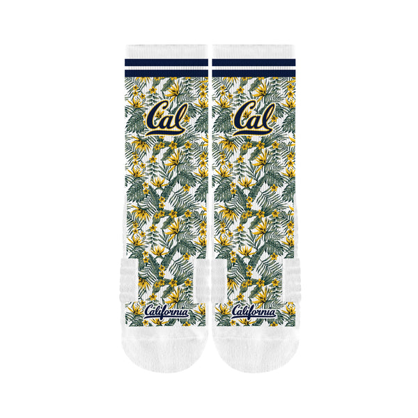 Cal Berkeley | Premium Full Sub | Fan Flora | N02364492ML