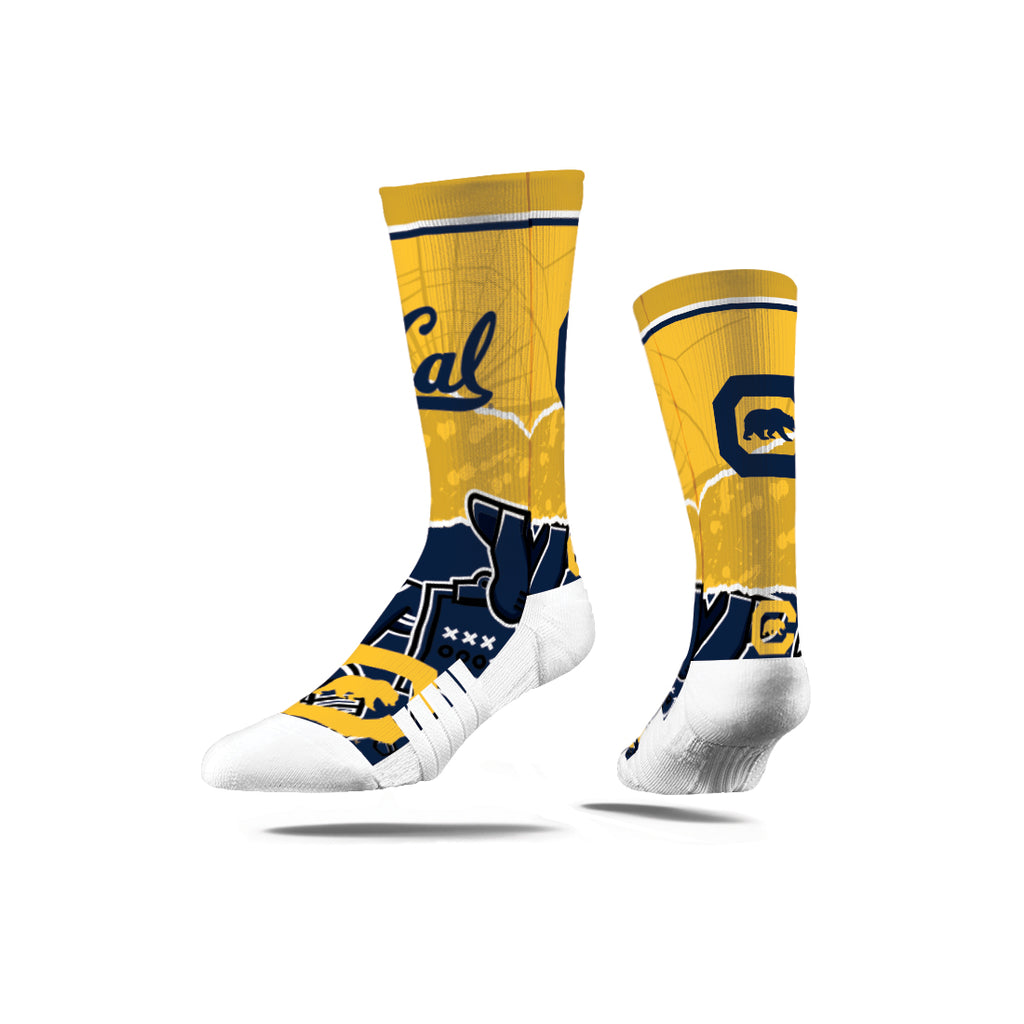 Cal Berkeley | Premium Full Sub | Tear Out | N02380367ML