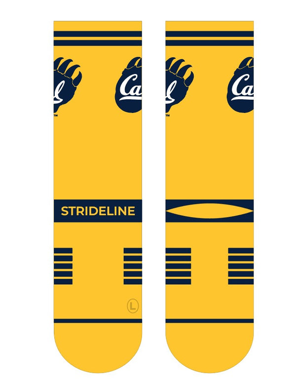 Cal Berkeley | Premium Knit Crew | Fan Logo | N02470584ML