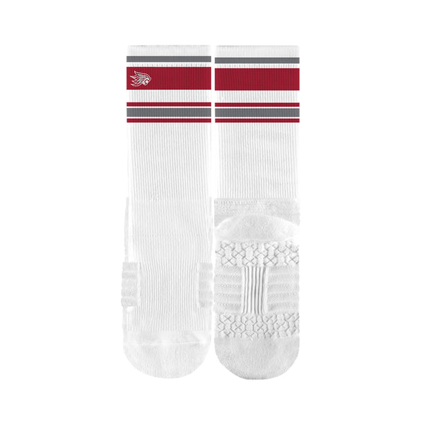 California State University, Chico | Premium Full Sub | Retro | N02444783ML