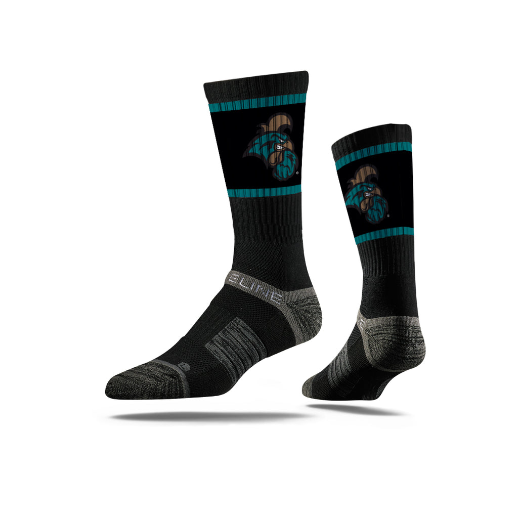 Coastal Carolina University | Premium Crew | Primary Logo School Color | N00374055ML
