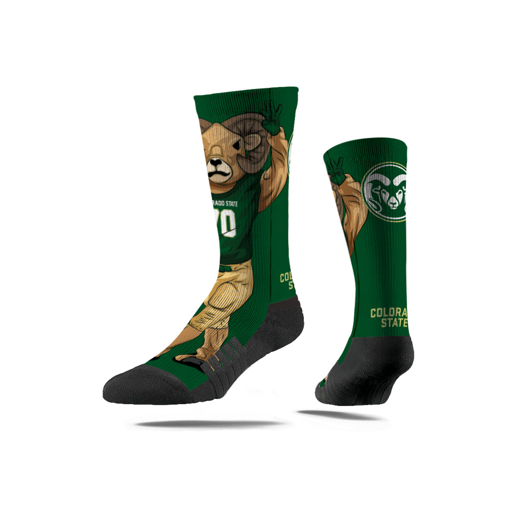 Colorado State University | Premium Full Sub | Mascot | N02134472ML