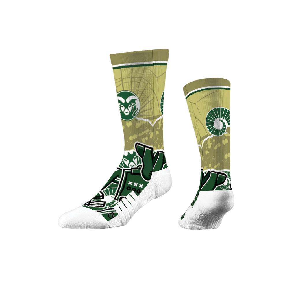 Colorado State University | Premium Full Sub | Tear Out | N02381676ML
