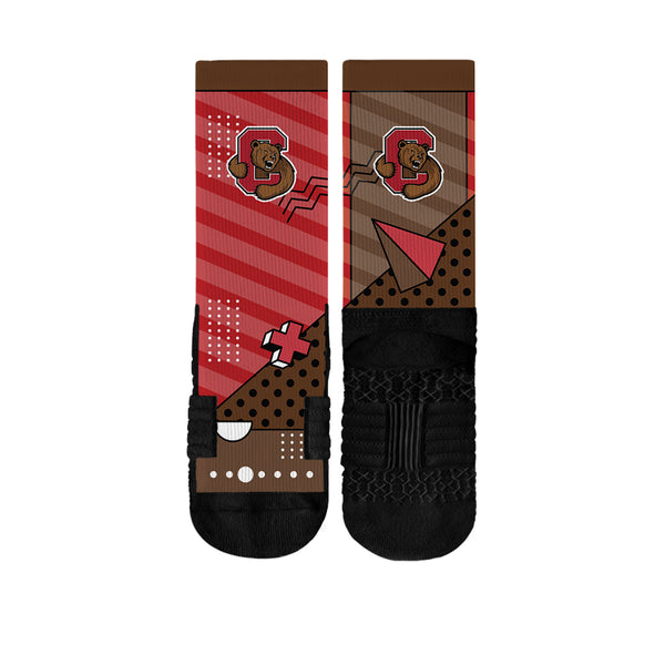 Cornell University | Premium Full Sub | Geo Block | N02375742ML