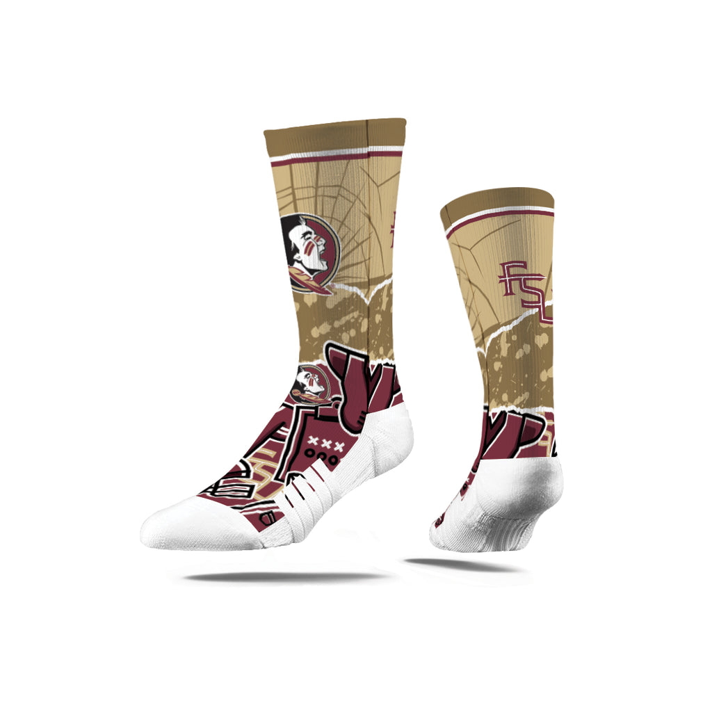 Florida State University | Premium Full Sub | Tear Out | N02381688ML