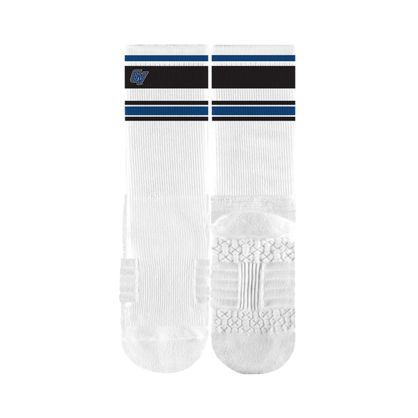 Grand Valley State University | Premium Full Sub | Retro | N02255148ML